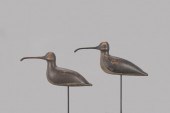 EARLY CURLEW PAIRLewis A. Cran