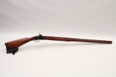EARLY CURLEY MAPLE STOCK AMERI