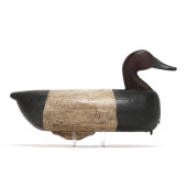EARLY CURRITUCK CANVASBACK<br>