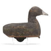 EARLY CURRITUCK COOT<br>Early
