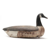 EARLY EASTERN SHORE (VA), GOOS