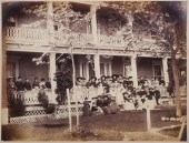 EARLY FLORIDA PHOTOGRAPH: PINE