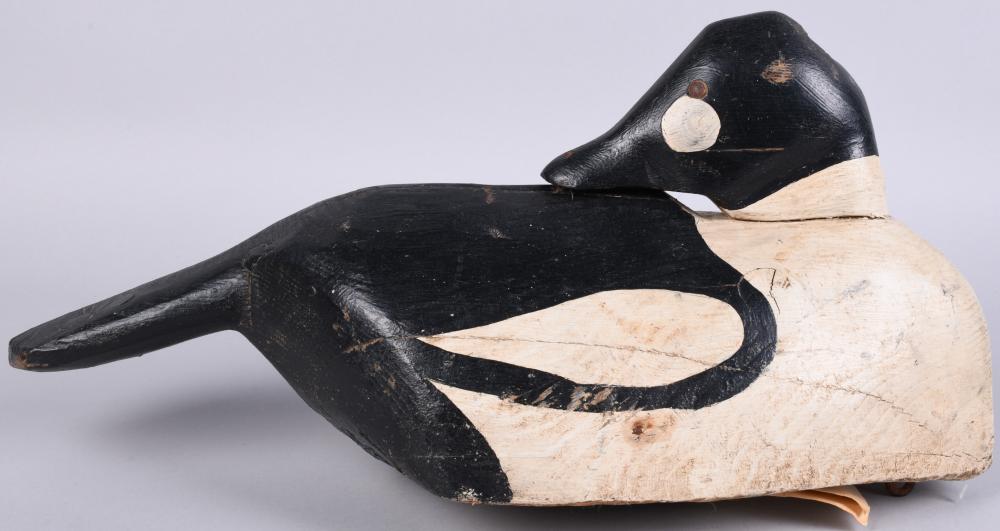 EARLY GOLDEN EYE SLEEPING DUCK
