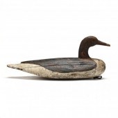 EARLY HOG ISLAND HEN MERGANSER