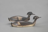 EARLY MERGANSER PAIRMark S. Mc