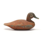 EARLY NORTH CAROLINA RUDDY DUC