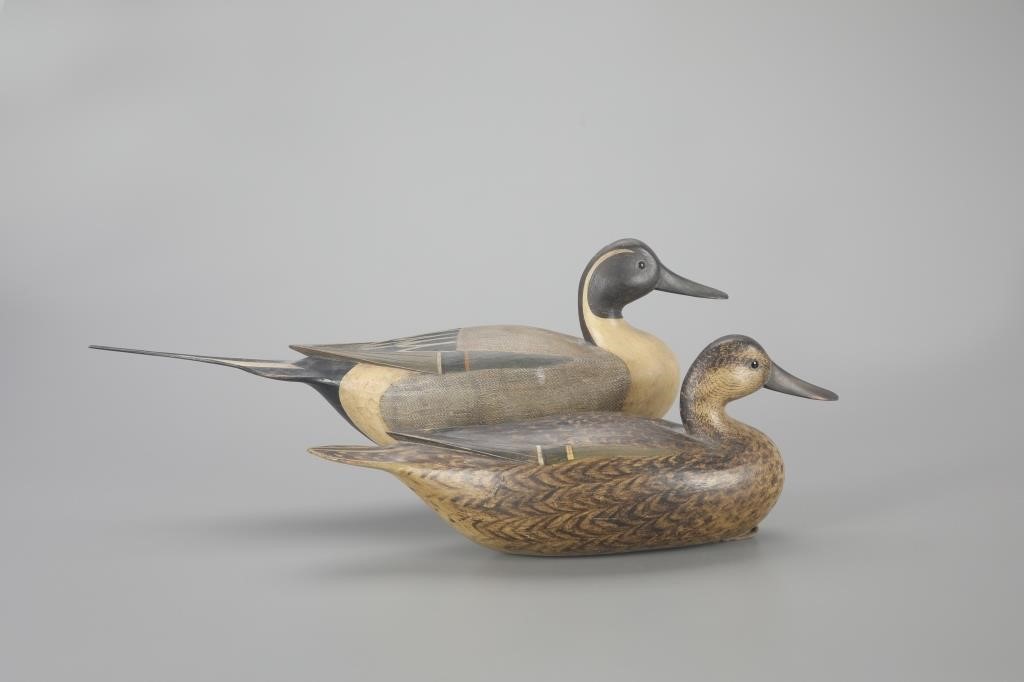 EARLY PINTAIL PAIRMark S. McNair