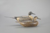 EARLY PINTAIL PAIRMark S. McNa