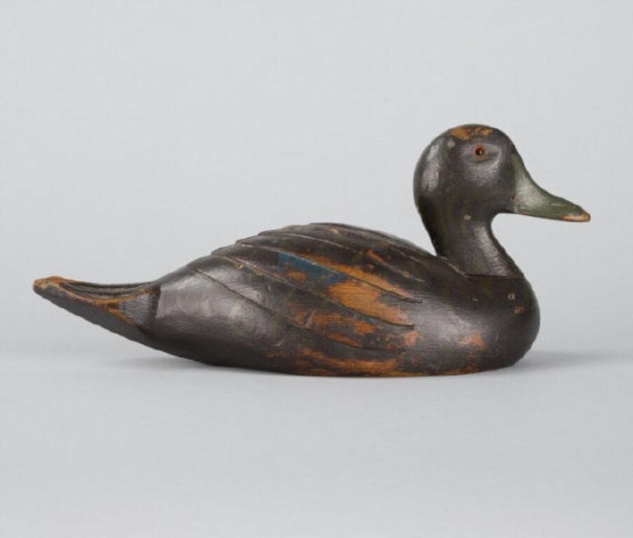 EARLY QUEBEC DECOYA Black Duck with
