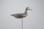 EARLY ROOT-HEAD SHOREBIRDThorn