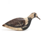 EARLY RUDDY TURNSTONE<br>Early