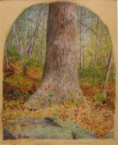 "EARLY SPRING" BY ROBERT BOLLI
