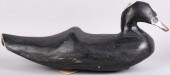 EARLY SURF SCOTER DUCK DECOY,