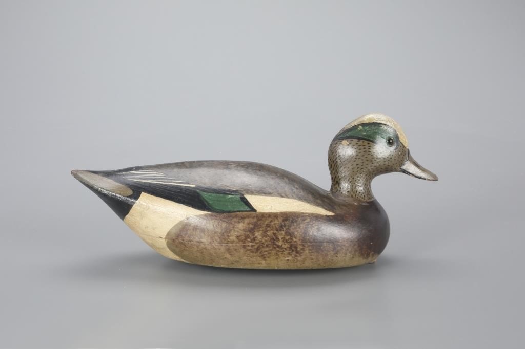 EARLY WIGEON DRAKELloyd Johnson