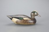 EARLY WIGEON DRAKELloyd Johnso