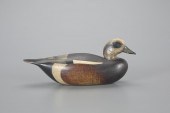 EARLY WIGEONMark S. McNair (b.