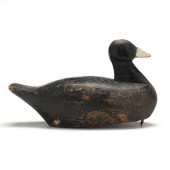 EARLY WISCONSIN COOT<br>Early