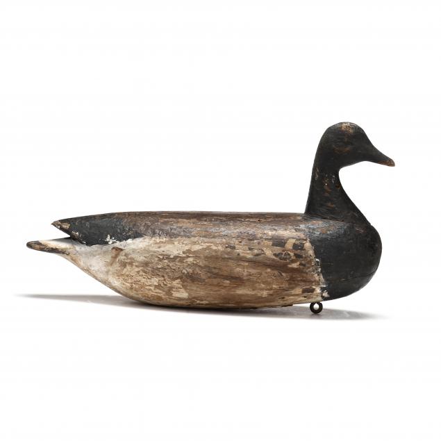 EASTERN SHORE VIRGINIA BRANT