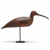 EASTERN SHORE VIRGINIA CURLEW