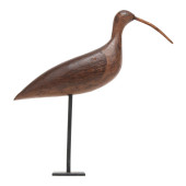 EASTERN SHORE VIRGINIA CURLEW<
