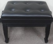 EBONIZED BLACK VINYL ADJUSTABL