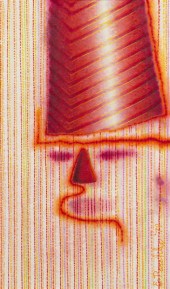 * Ed Paschke (American 1939-20