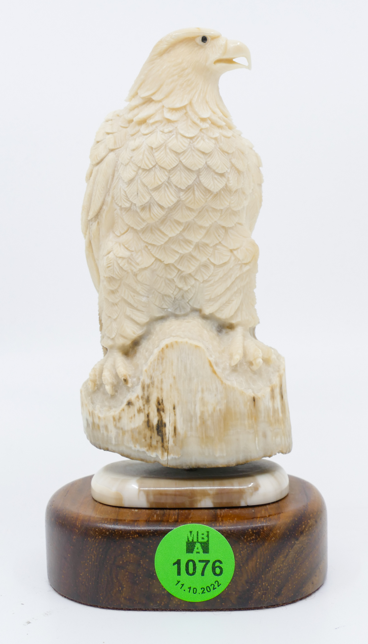 Eddy Lyngoc Inuit Eagle Carved Tusk