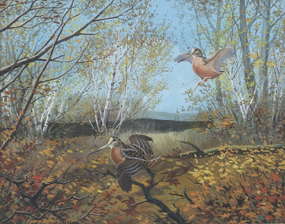 EDGAR BURKE (1889-1950)Woodcock