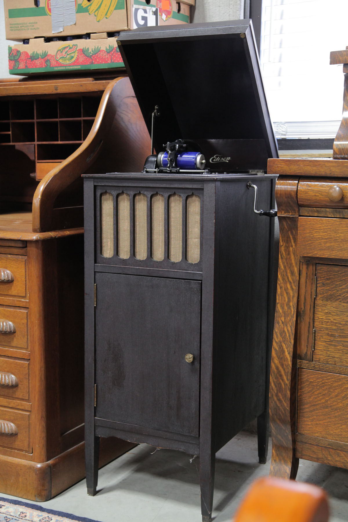 EDISON AMBEROLA FLOOR MODEL.  New