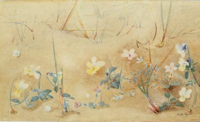 Edith Payne