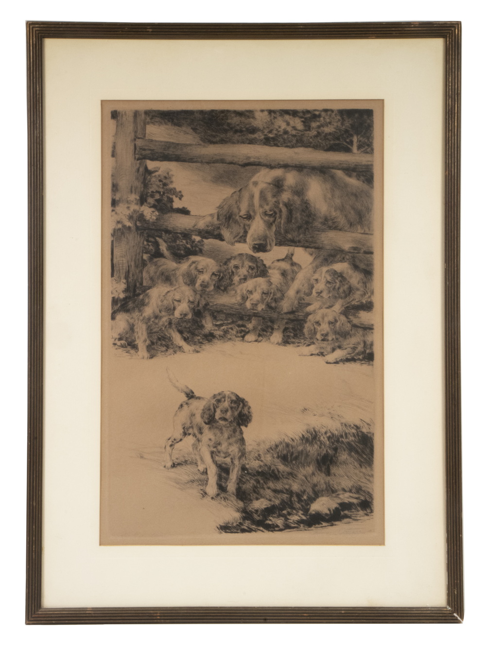 EDMUND OSTHAUS (OH/CA/FL/GERMANY,