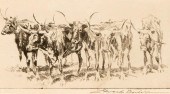 EDWARD BOREIN, LONGHORNSEdward