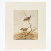 EDWARD DINGLE, SONGBIRD, WATER
