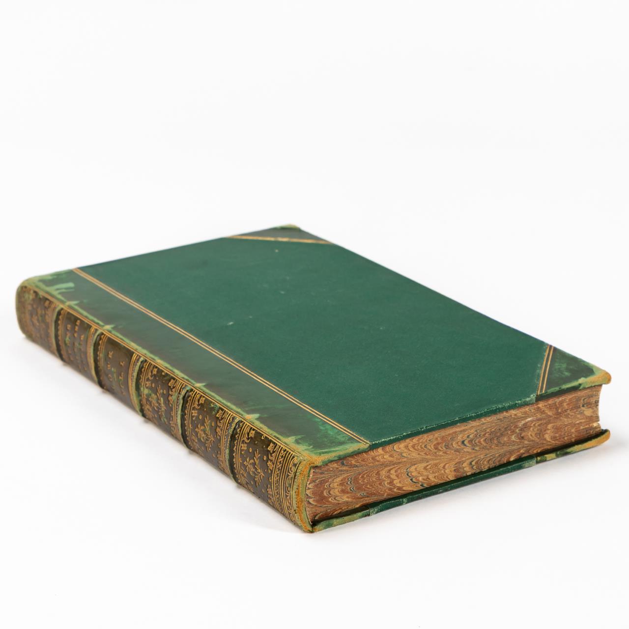 EDWARD J.LOWE'S "FERNS BRITISH &