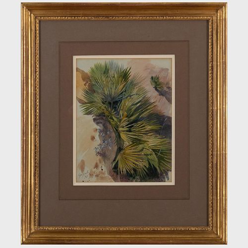 EDWARD LEAR (1812-1888) : A PALM,