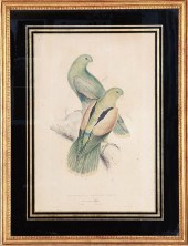 Edward Lear (British 1812-1888