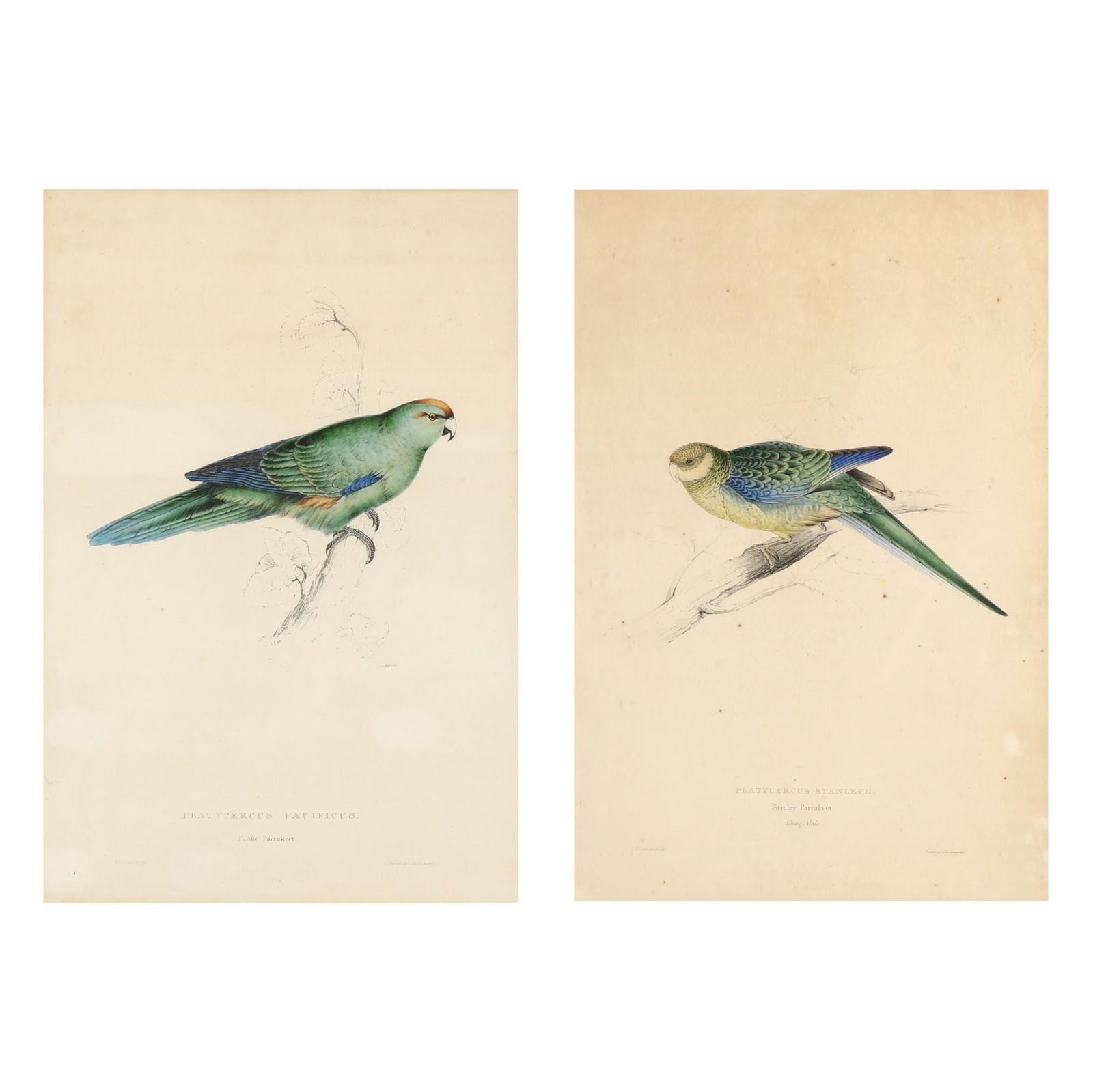 EDWARD LEAR (BRITISH, 1812-1888),
