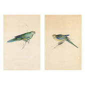 EDWARD LEAR (BRITISH, 1812-188