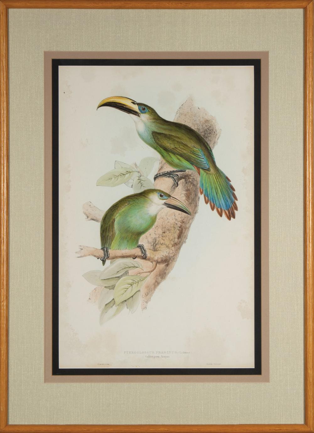 EDWARD LEAR (BRITISH,