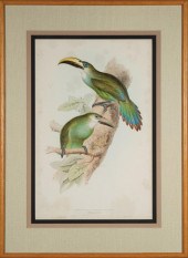 EDWARD LEAR (BRITISH, 1812-188
