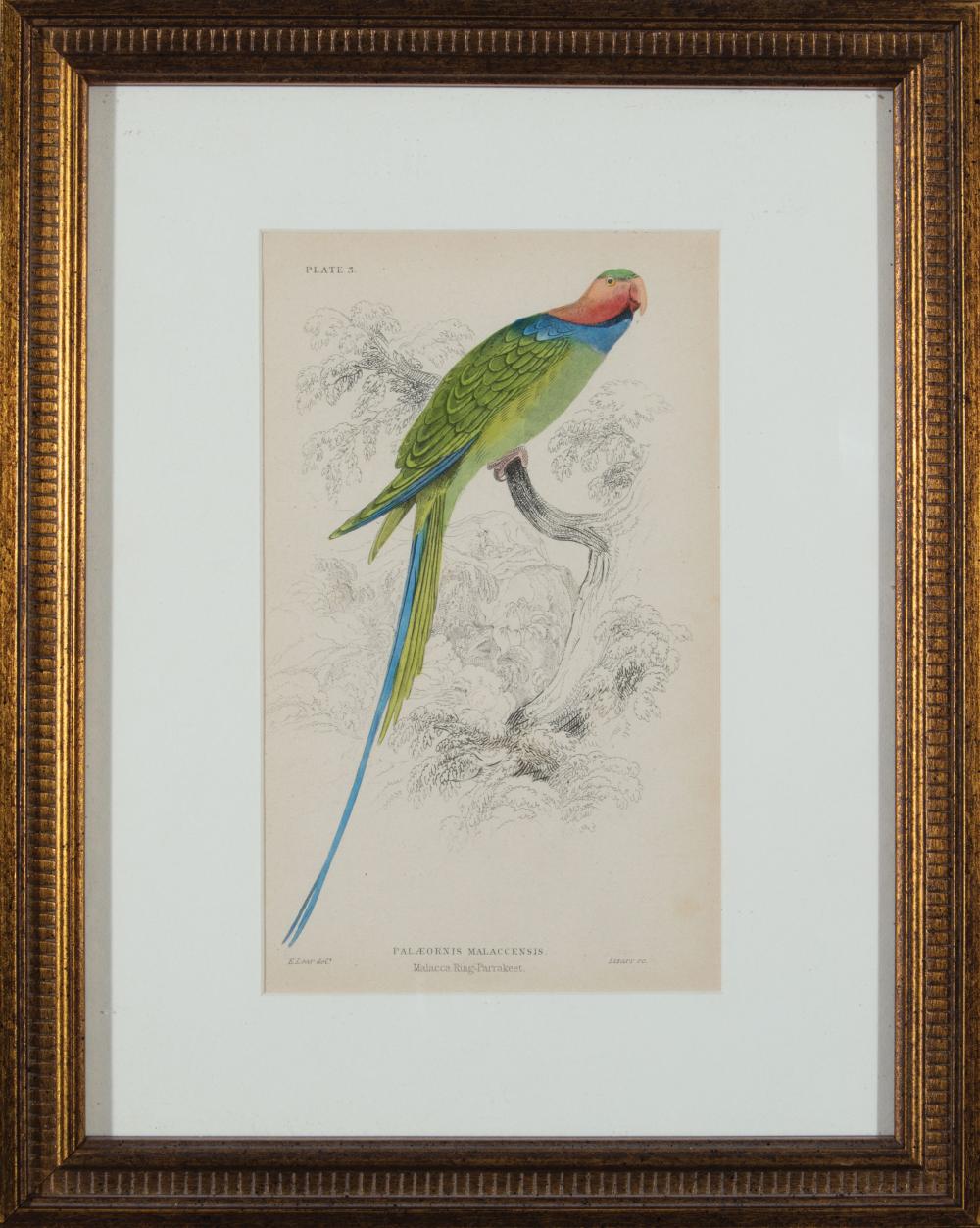 EDWARD LEAR (BRITISH,