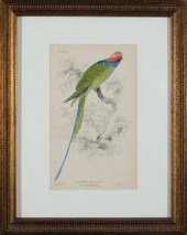 EDWARD LEAR (BRITISH, 1812-188