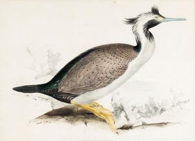 Edward Lear (British