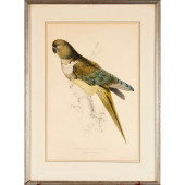 EDWARD LEAR, HAND-COLORED PARR