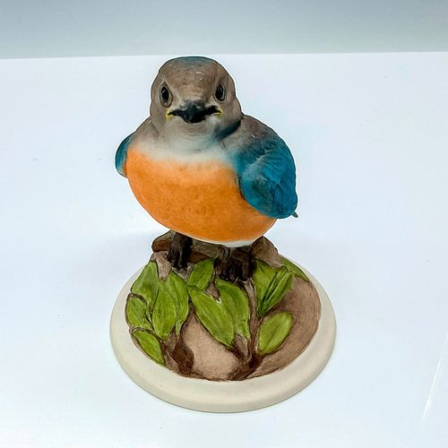 EDWARD MARSHALL BOEHM BIRD, BABY
