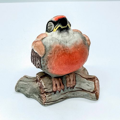 EDWARD MARSHALL BOEHM BIRD,