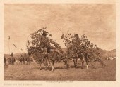 EDWARD S. CURTIS, BOUGHS FOR T