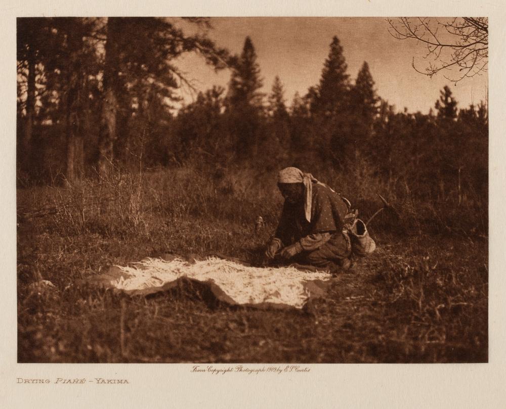 EDWARD S. CURTIS, DRYING PIAHE -