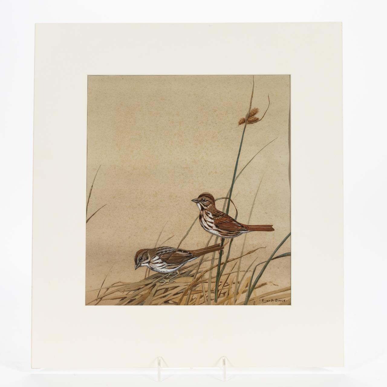 EDWARD VON S. DINGLE, SONGBIRDS,