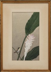 EDWARD VON SIEBOLD DINGLE (AME